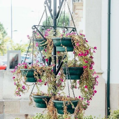 Dona Fina بيت ضيافة ميرانديلا